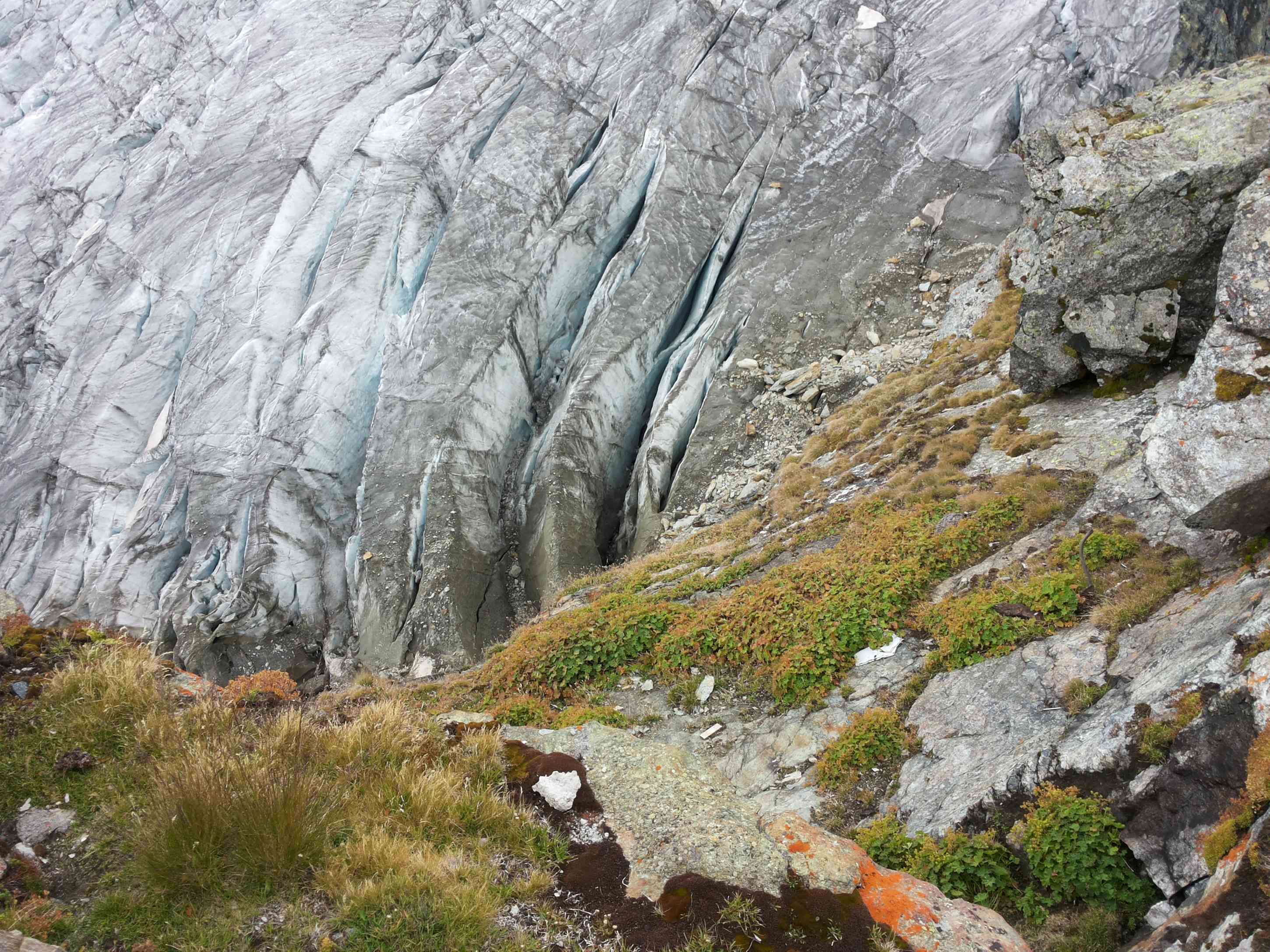 Gletscher Harriet Kluge