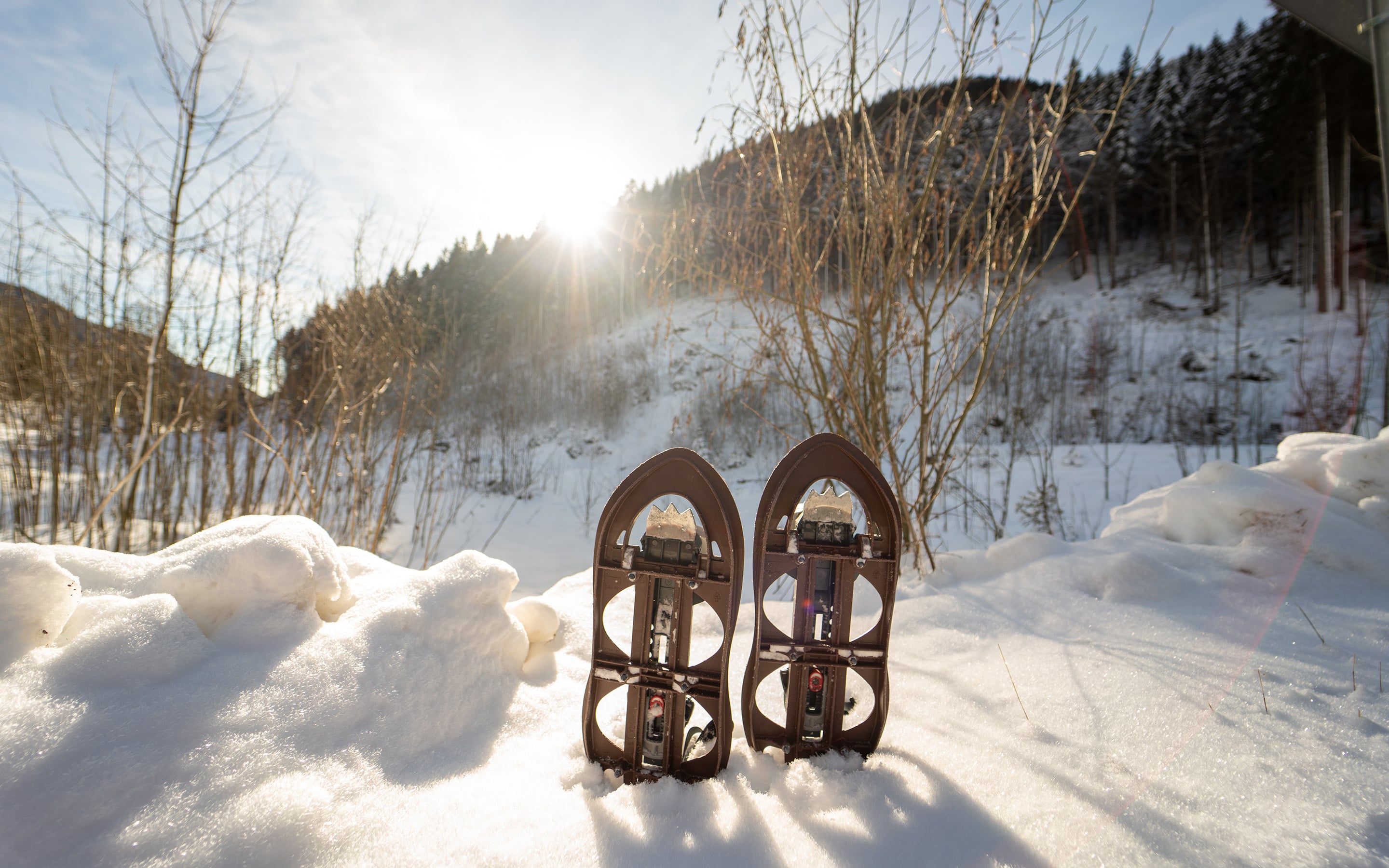 Schneeschuhwandern auf Crampiolo