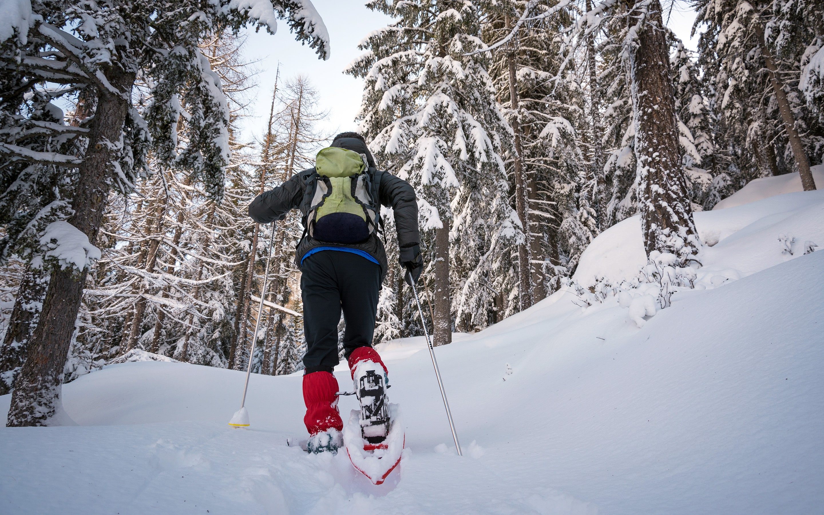 Schneeschuhwandern auf Crampiolo