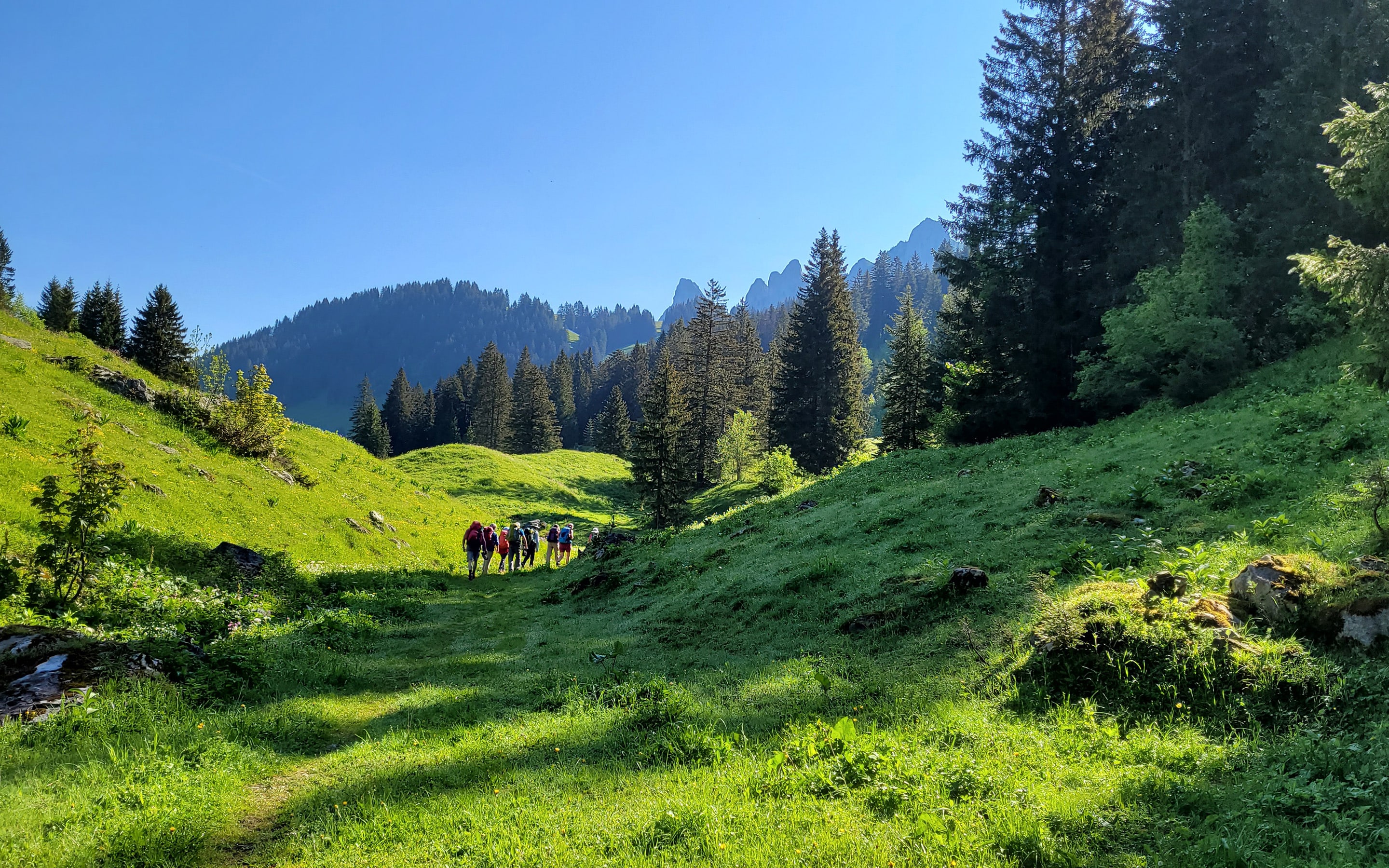 Freiburger Voralpen mit imposanter Kulisse