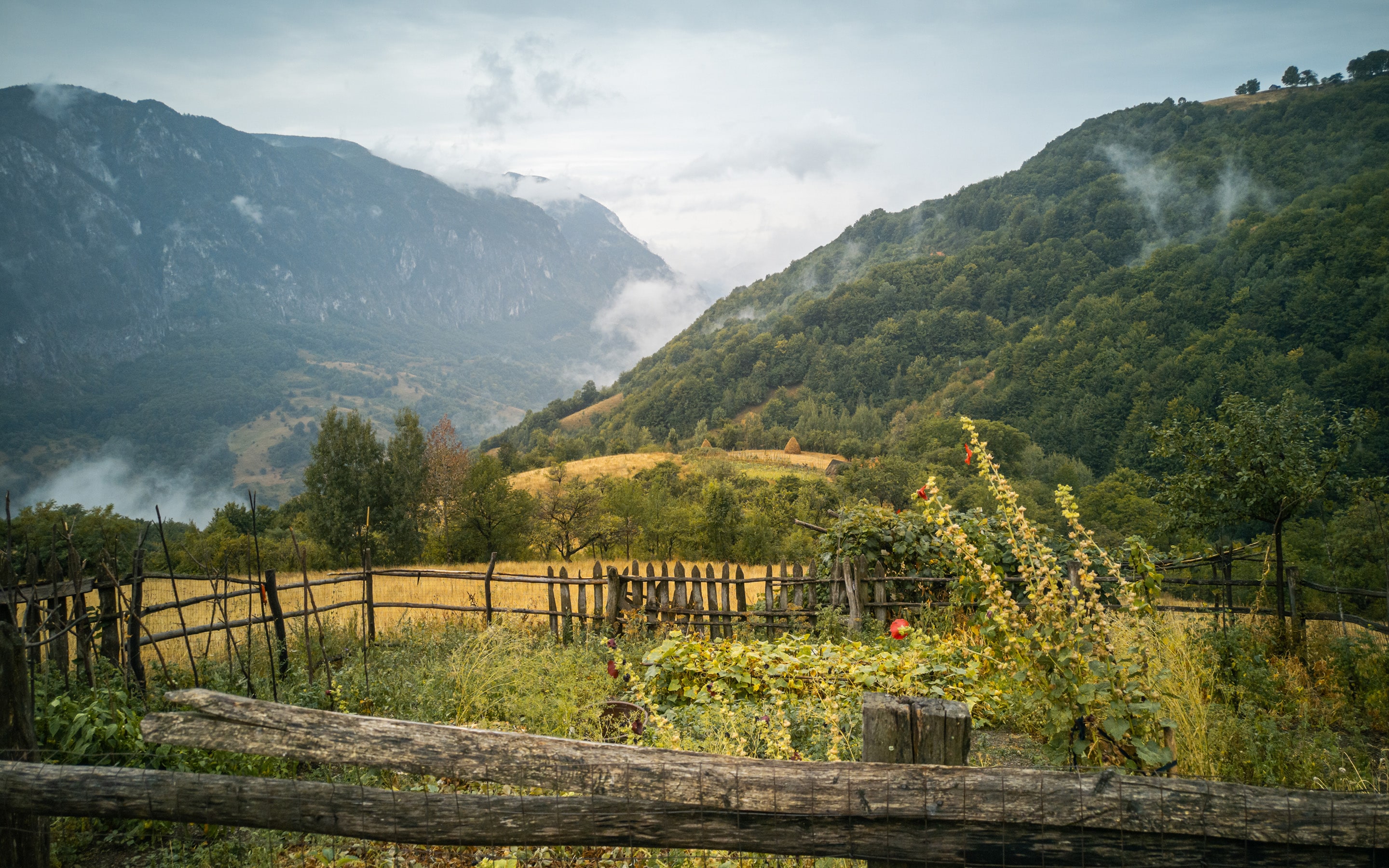 Via Transsilvanica im Banat, Rumänien