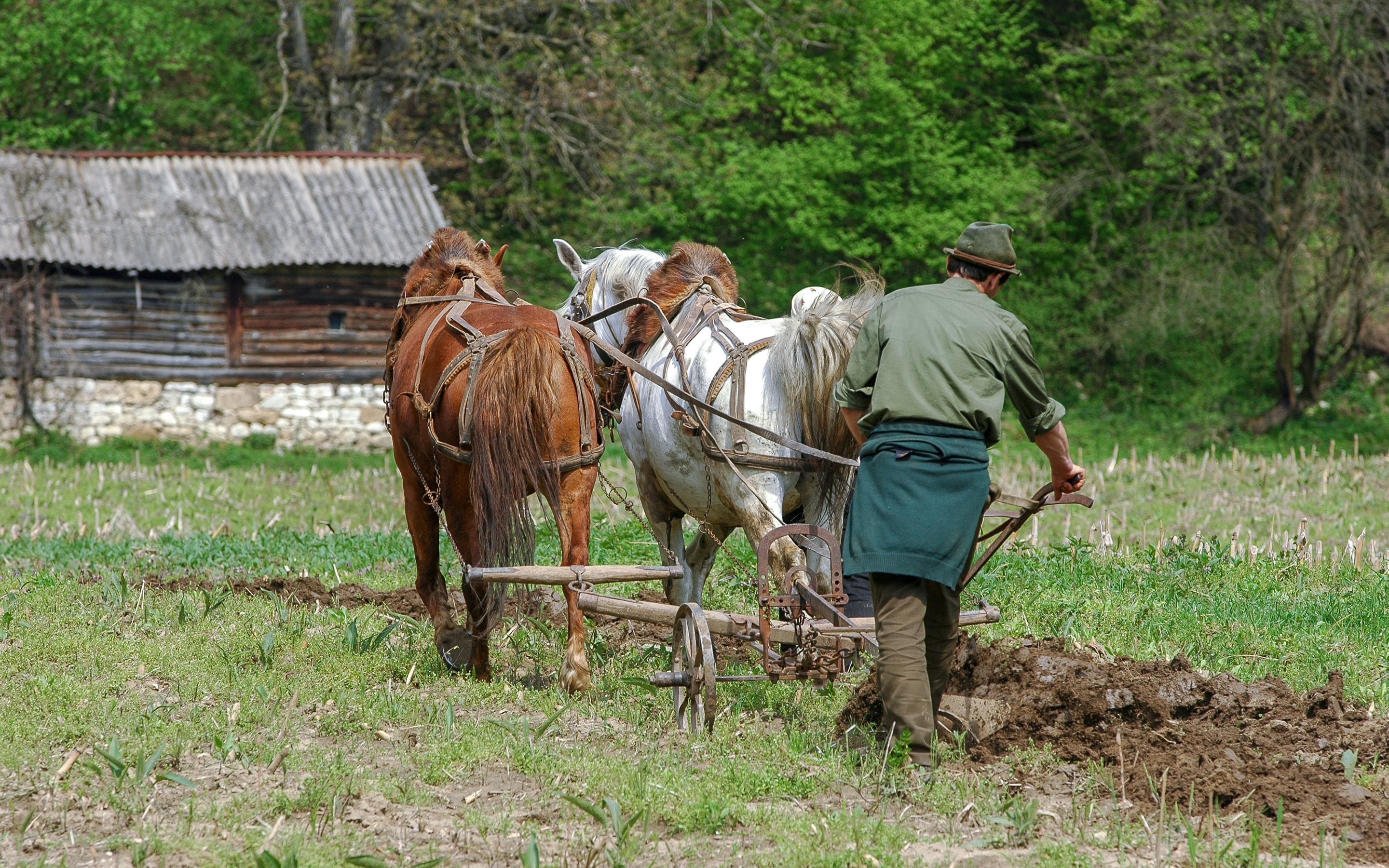 Via Transsilvanica im Banat, Rumänien