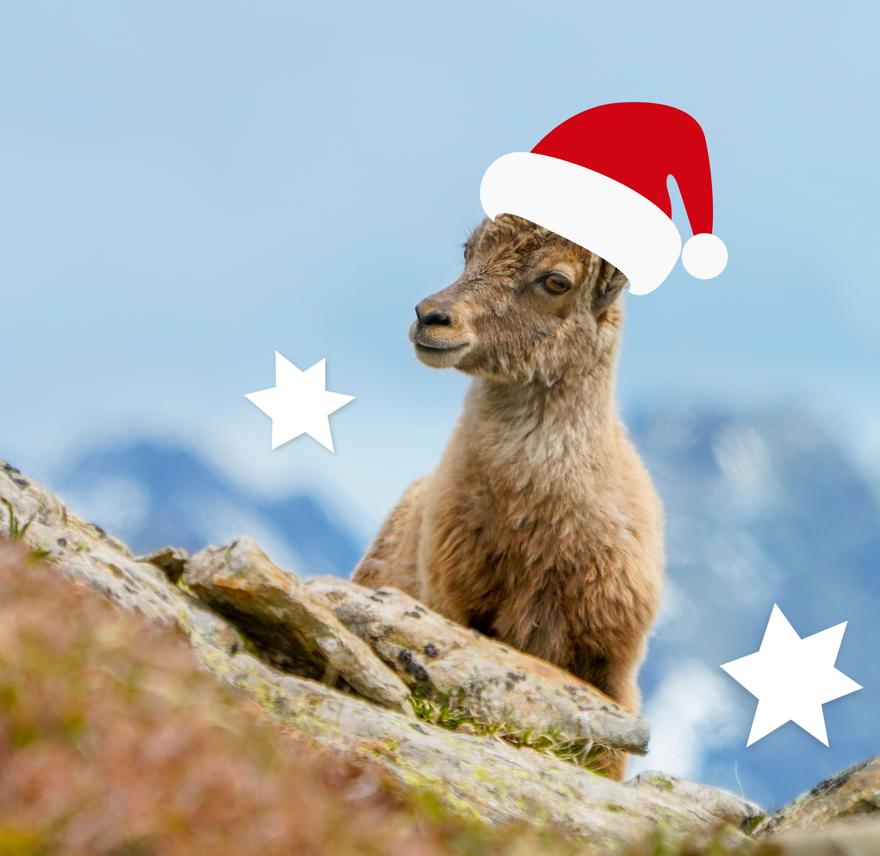 Annoucenement Quiz (3)