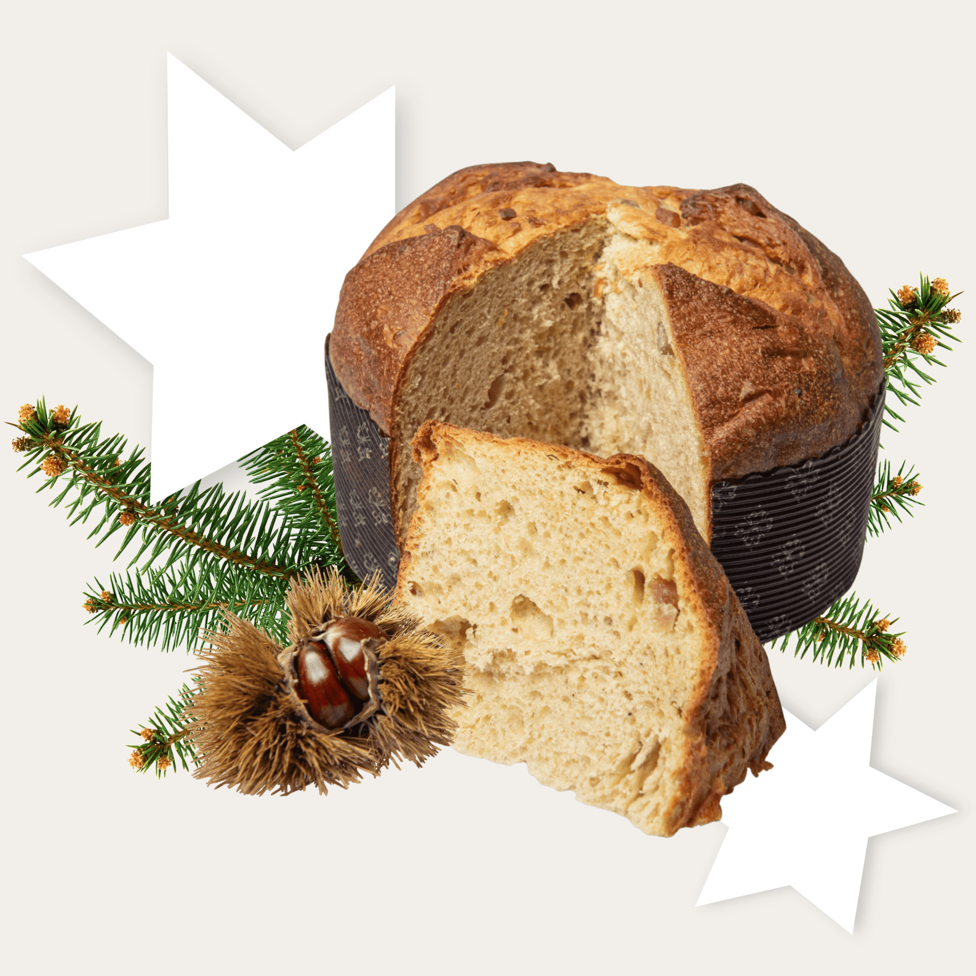 startseite-stern-panettone-2