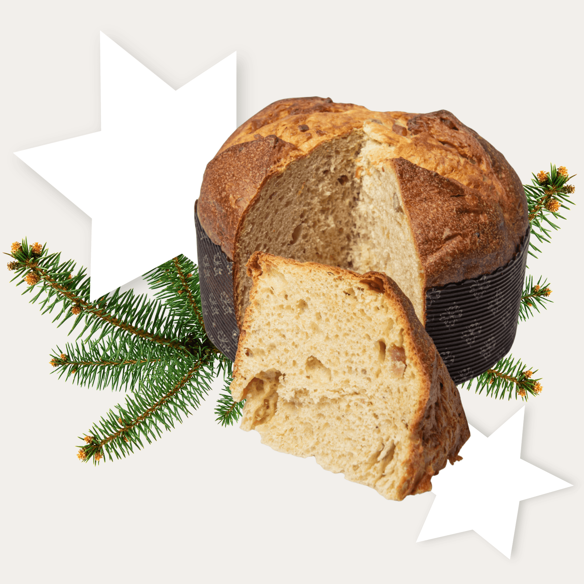 startseite-stern-panettone