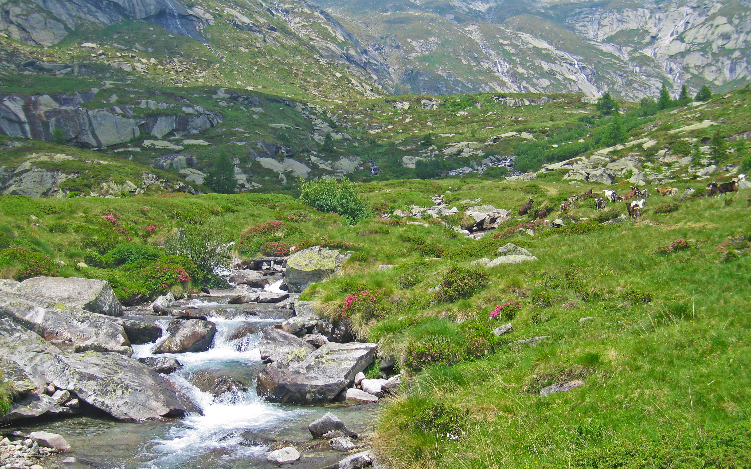 valtellina-gruppe-gefuehrt-header-2