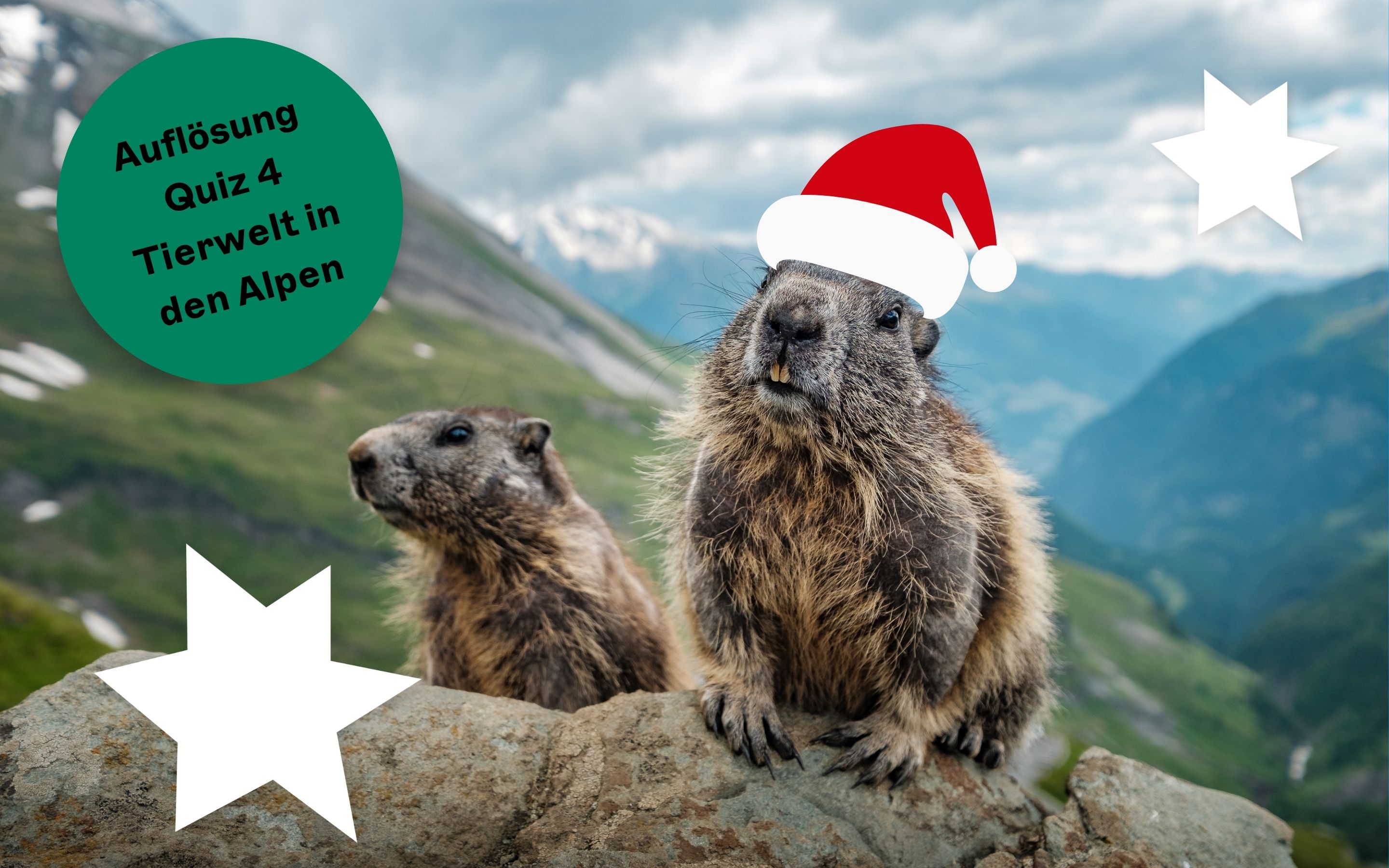 Post 4 Quiz Tierwelt in den Alpen DEU