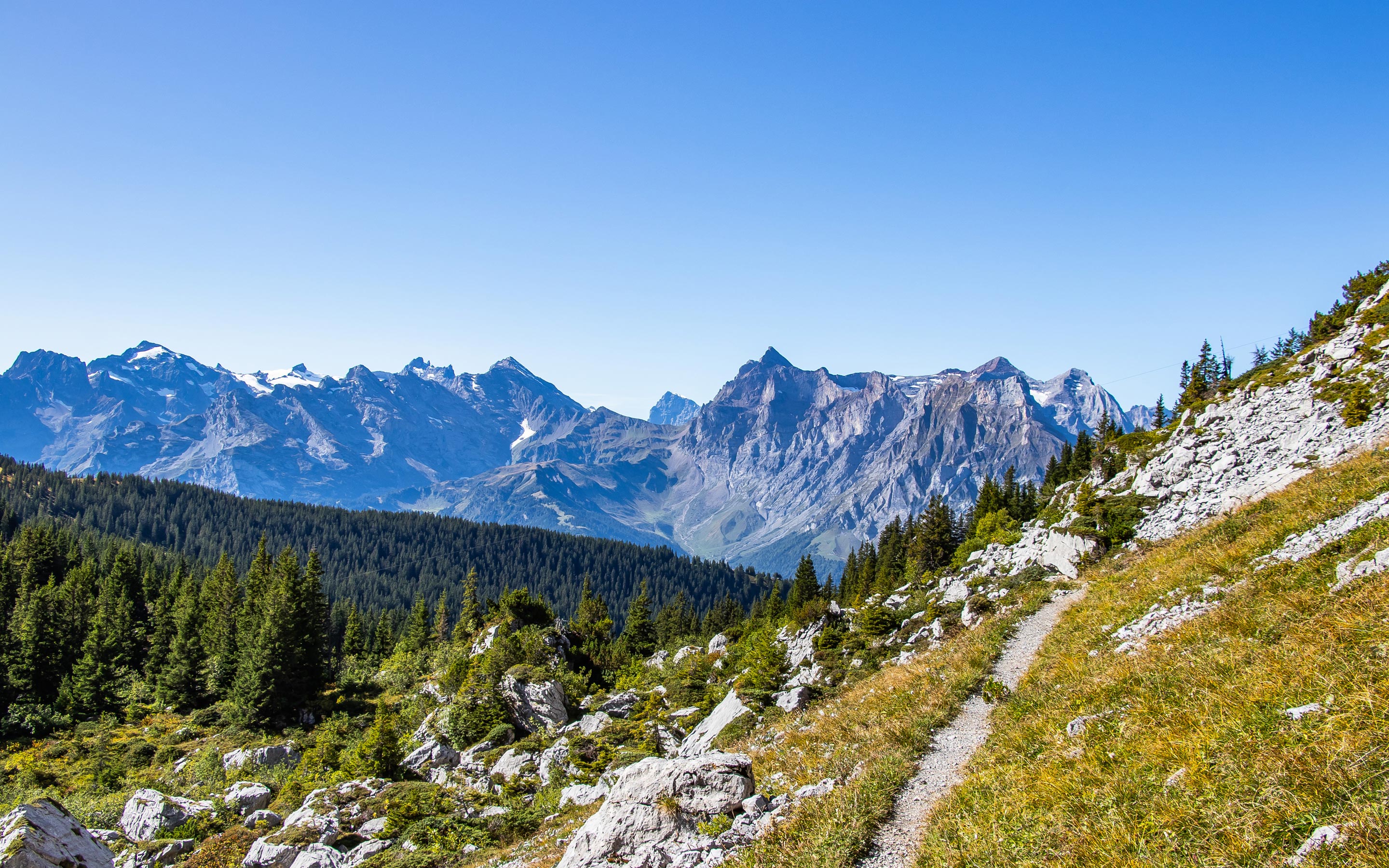 Schaechental_header_web