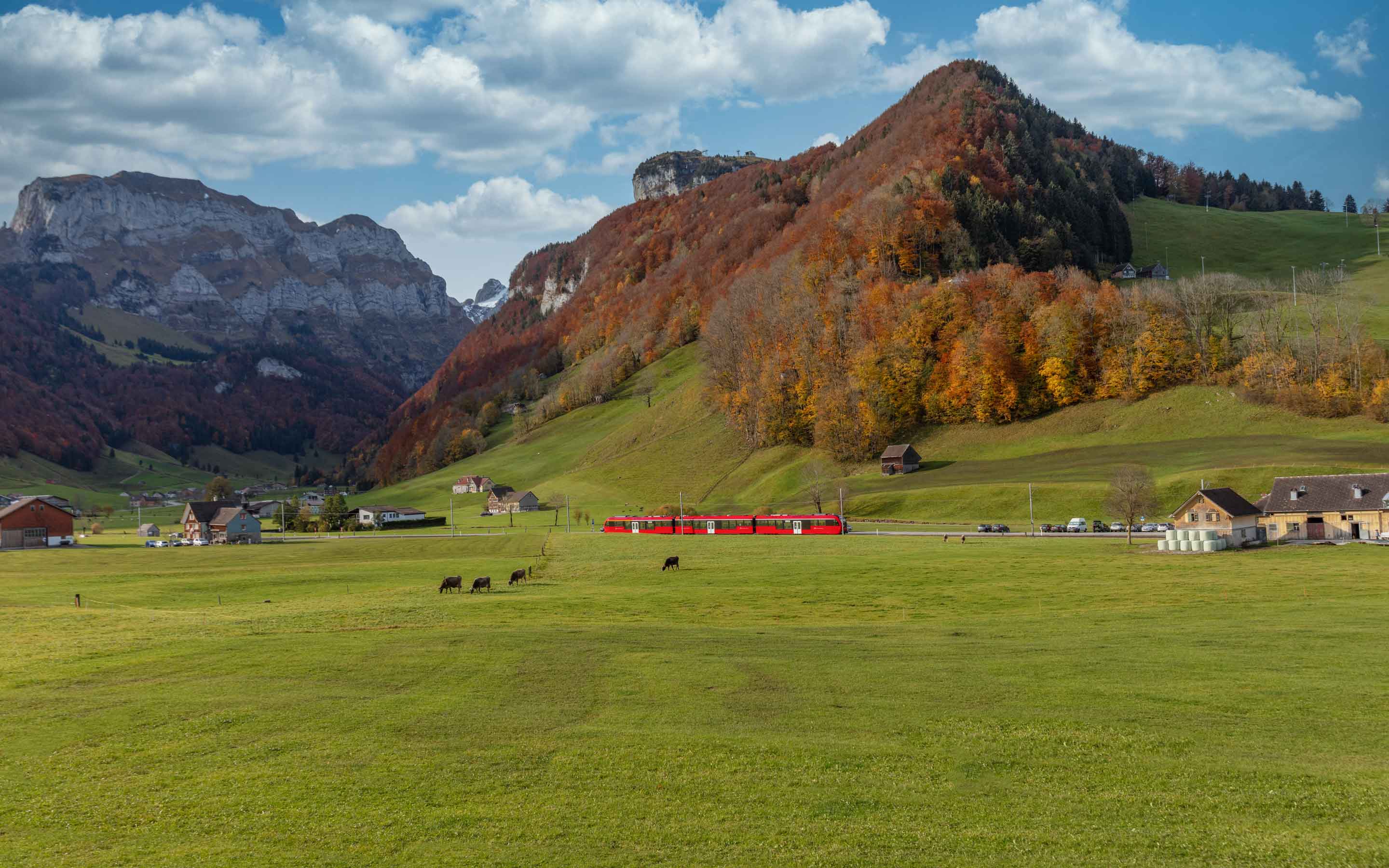 Bergkristall-Kandidat - Appenzeller-Bahn
